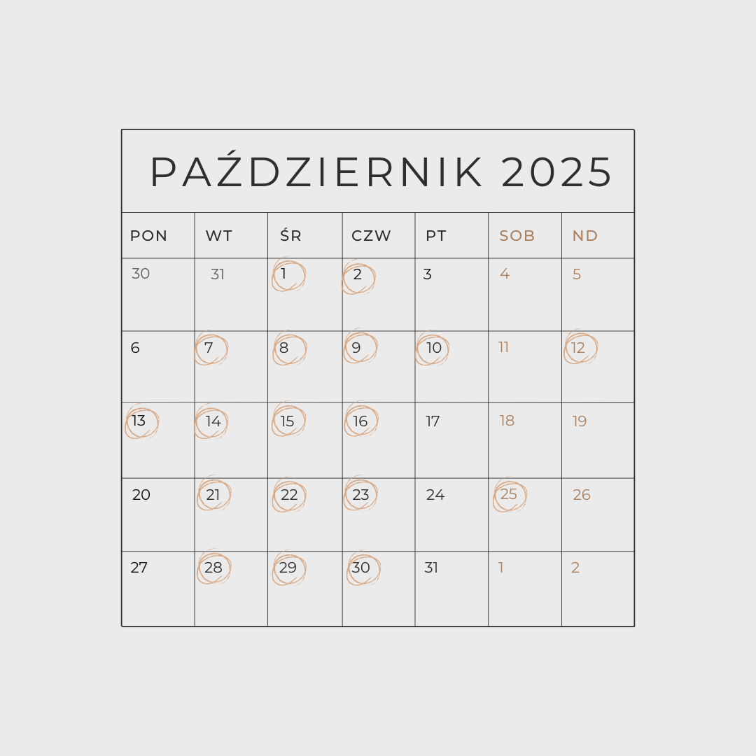 październik 2024(3) październik 2024(3)